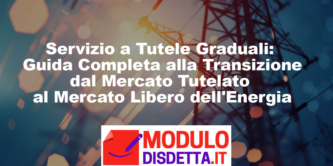 Servizio a Tutele Graduali: Mercato Tutelato e Libero dell’Energia